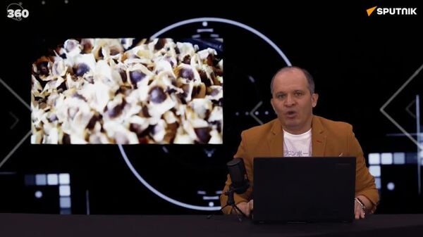 RADIO 'Conexión 360' | Una semilla contra la contaminación: la moringa elimina microplástico del agua - Sputnik Mundo