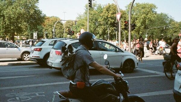 Más de 400 - Sputnik Mundo