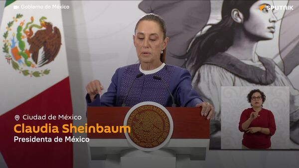 México irá tras empresarios que suban precios de la gasolina bajo pretexto de la situación mundial - Sputnik Mundo