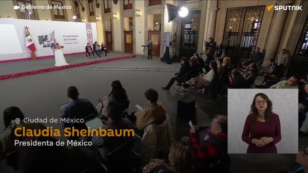 México aún no identifica al responsable del derrame de hidrocarburos en el golfo de México - Sputnik Mundo