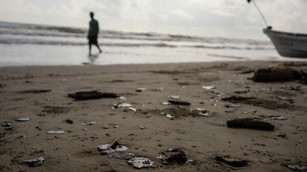 Vertido de petróleo - Sputnik Mundo