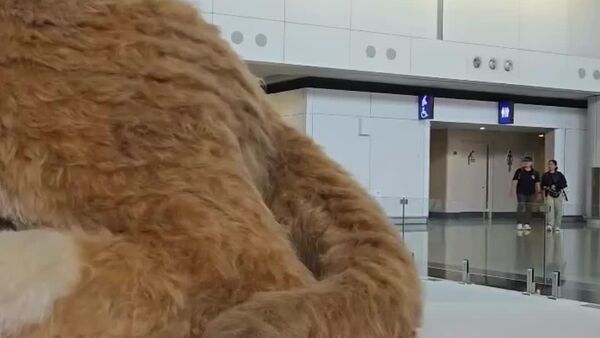 Gato gigante invade un aeropuerto en Hong Kong y se convierte en una atracción - Sputnik Mundo