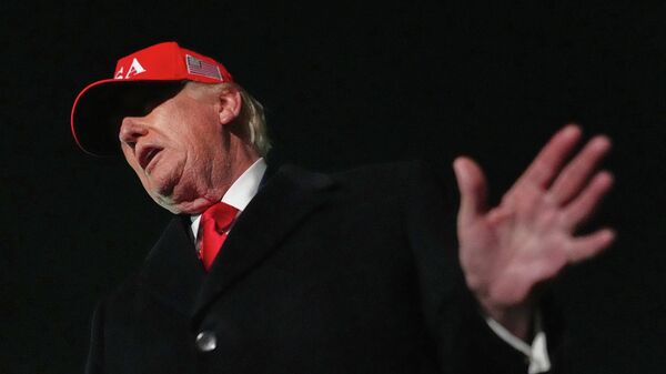 Donald Trump, presidente de EEUU - Sputnik Mundo