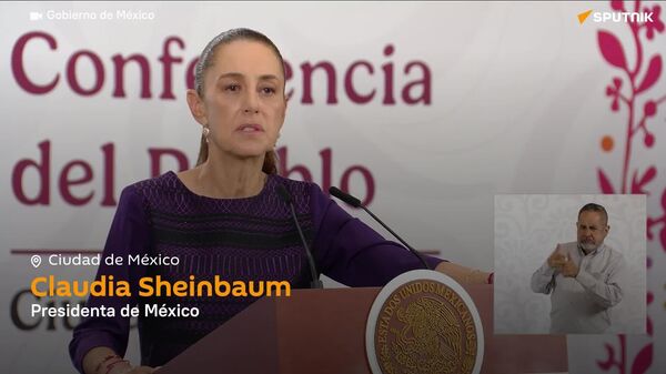 Sheinbaum descarta remover del cargo a su secretario de Economía tras polémica - Sputnik Mundo