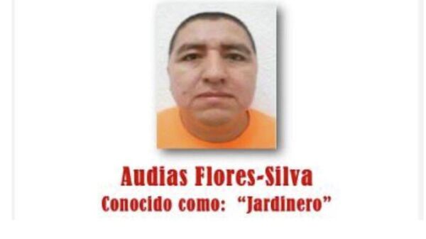 Audias Flores Silva, alias 'el Jardinero'. - Sputnik Mundo