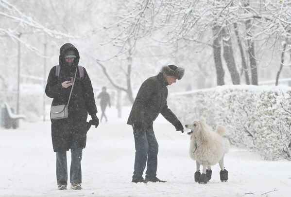 Un inesperado episodio invernal sorprende a Moscú en plena primavera. - Sputnik Mundo