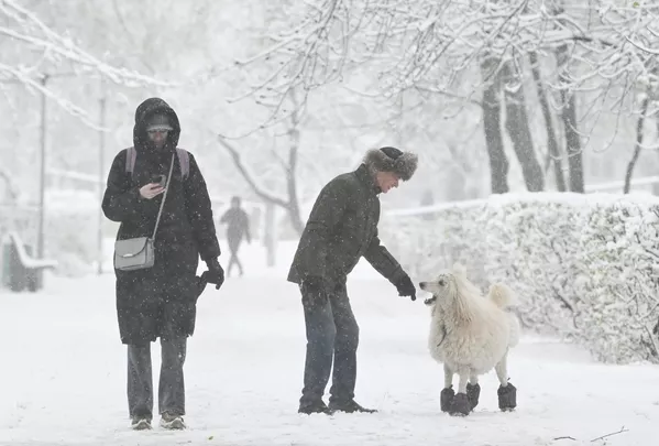 Un inesperado episodio invernal sorprende a Moscú en plena primavera. - Sputnik Mundo