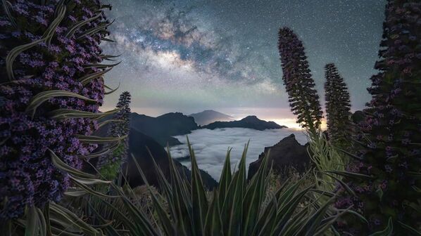 Panorama de la galaxia de la caldera del artista holandés Max Terwindt. - Sputnik Mundo