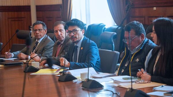 Fernando Aramayo, canciller de Bolivia  - Sputnik Mundo