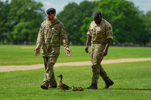 Soldados británicos alejan a un pato y a sus patitos en Hyde Park durante la ceremonia conmemorativa del aniversario de la entronización de Carlos III. - Sputnik Mundo
