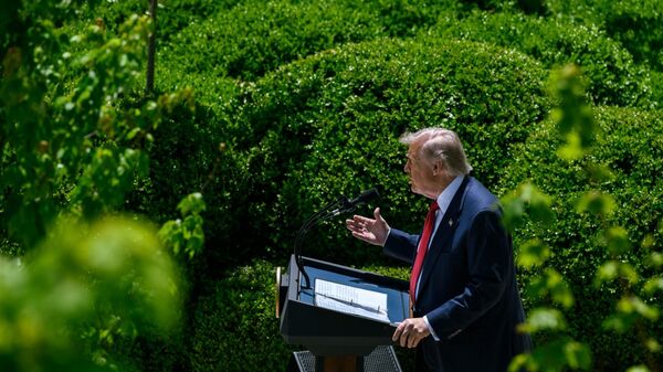 Donald Trump, presidente de EEUU - Sputnik Mundo