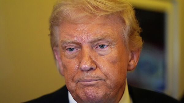 Donald Trump, presidente de EEUU - Sputnik Mundo