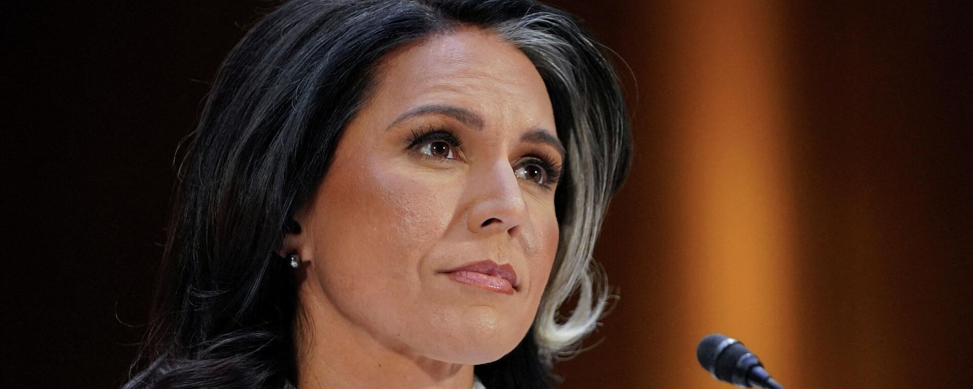 Tulsi Gabbard, directora de Inteligencia de EEUU - Sputnik Mundo, 1920, 22.05.2026