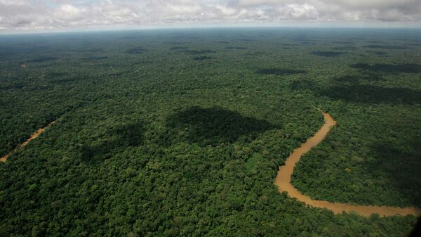 Día Mundial del Medio Ambiente  - Sputnik Mundo