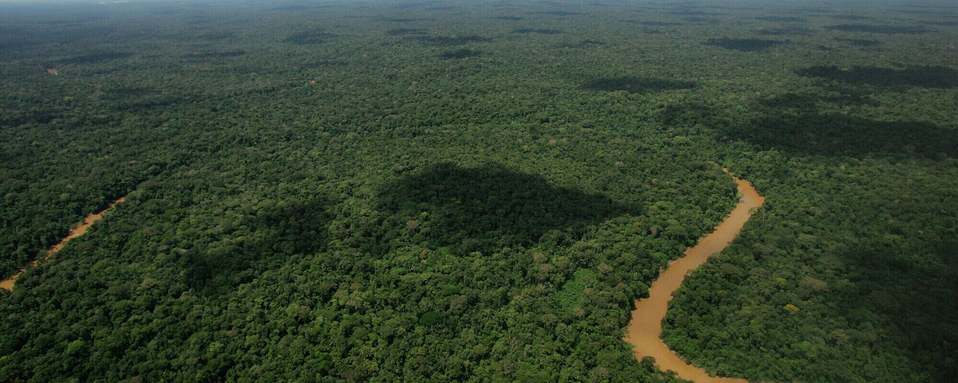 Día Mundial del Medio Ambiente  - Sputnik Mundo, 1920, 05.06.2026