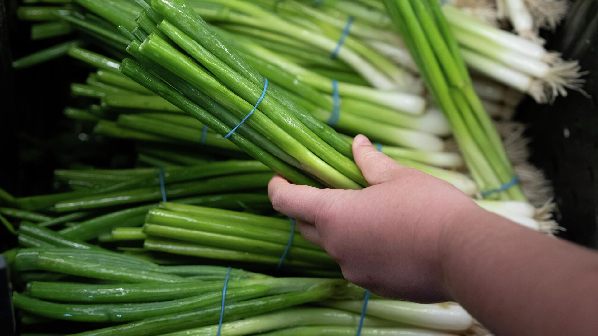 Alimentos. Alimentos. - Sputnik Mundo, 1920, 07.06.2026