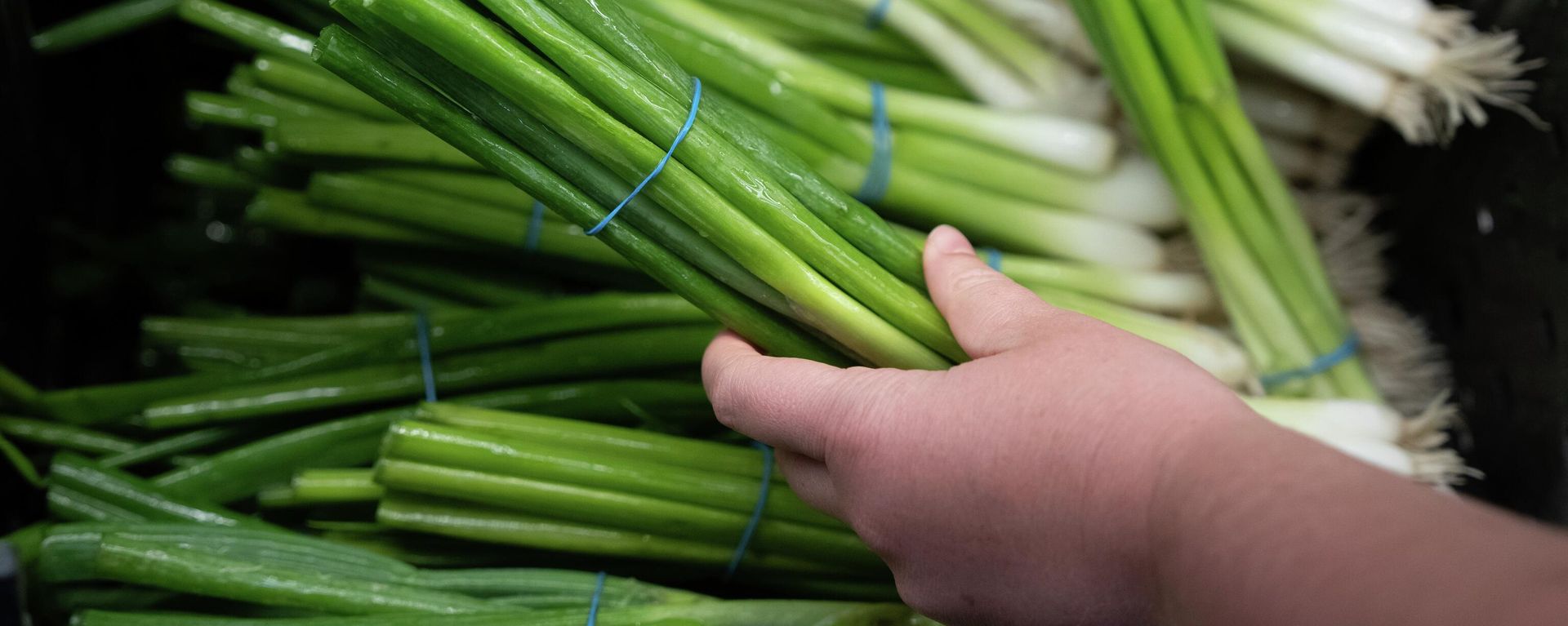 Alimentos. - Sputnik Mundo, 1920, 07.06.2026