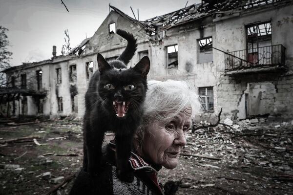 Retrato de Baba Nina y un gato callejero con el pueblo destruido de Svetlichni como fondo Retrato de Baba Nina y un gato callejero con el pueblo destruido de Svetlichni como fondo - Sputnik Mundo