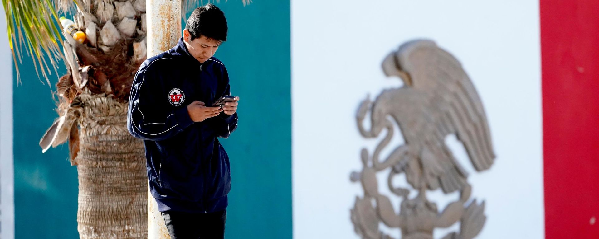 Hombre usando su celular. - Sputnik Mundo, 1920, 24.06.2026