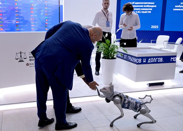 Un participante del Foro Jurídico Internacional de San Petersburgo estrecha la pata de un robot gato. - Sputnik Mundo