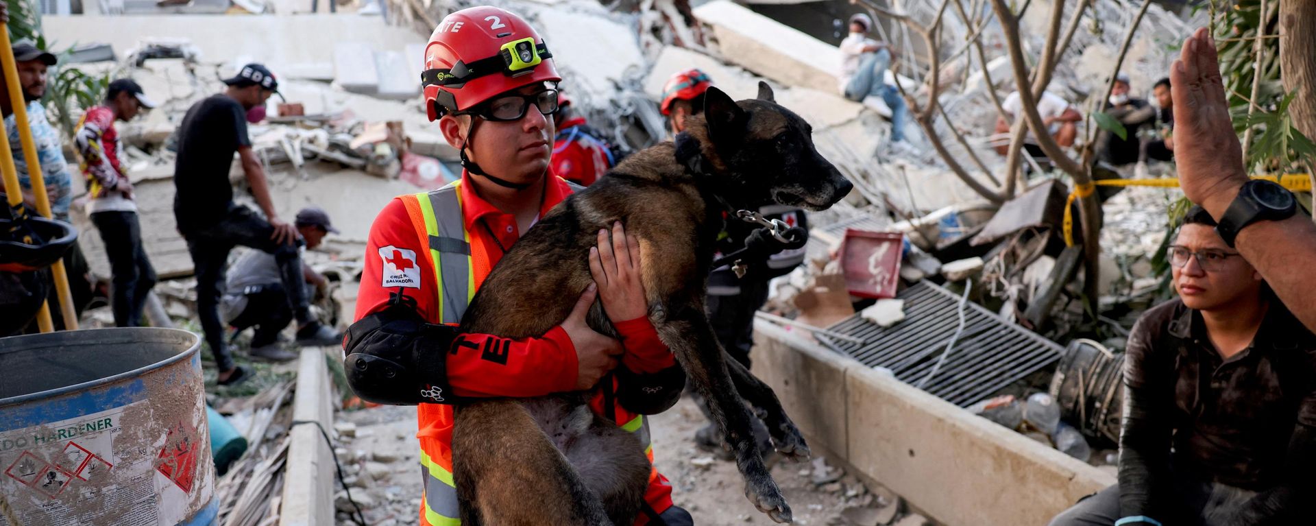 No solo hay lamentos humanos entre las ruinas: así es como los veterinarios de Venezuela luchan incansablemente por cada latido  - Sputnik Mundo, 1920, 29.06.2026