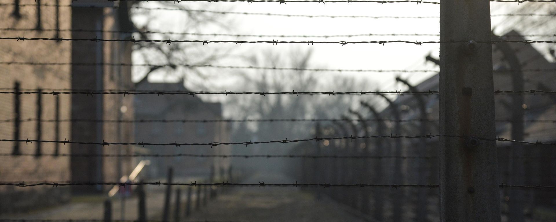 El antiguo campo de concentración de Auschwitz-Birkenau - Sputnik Mundo, 1920, 30.06.2026