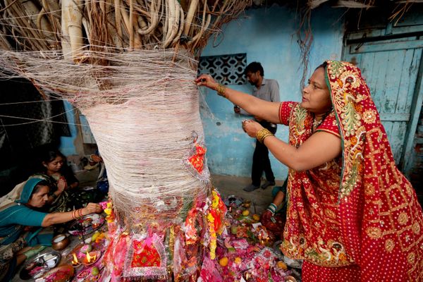 Las mujeres hindúes casadas realizan rituales alrededor de un árbol de baniano para pedir longevidad para sus maridos durante el festival de Vat Savitri Vrat en la India. - Sputnik Mundo