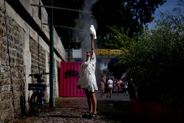 Una residente de París sostiene a su loro bajo una fuente de niebla para refrescarlo. - Sputnik Mundo