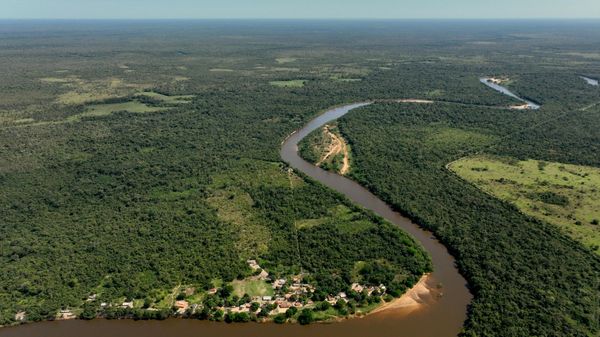Vista aérea de la Amazonía - Sputnik Mundo