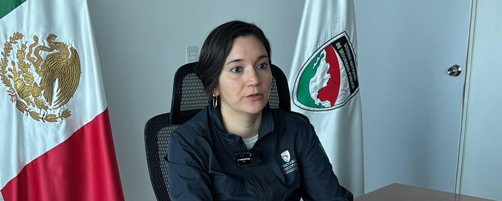 Titular del Secretariado Ejecutivo del Sistema Nacional de Seguridad Pública (SESNSP), Marcela Figueroa Franco - Sputnik Mundo, 1920, 13.07.2026