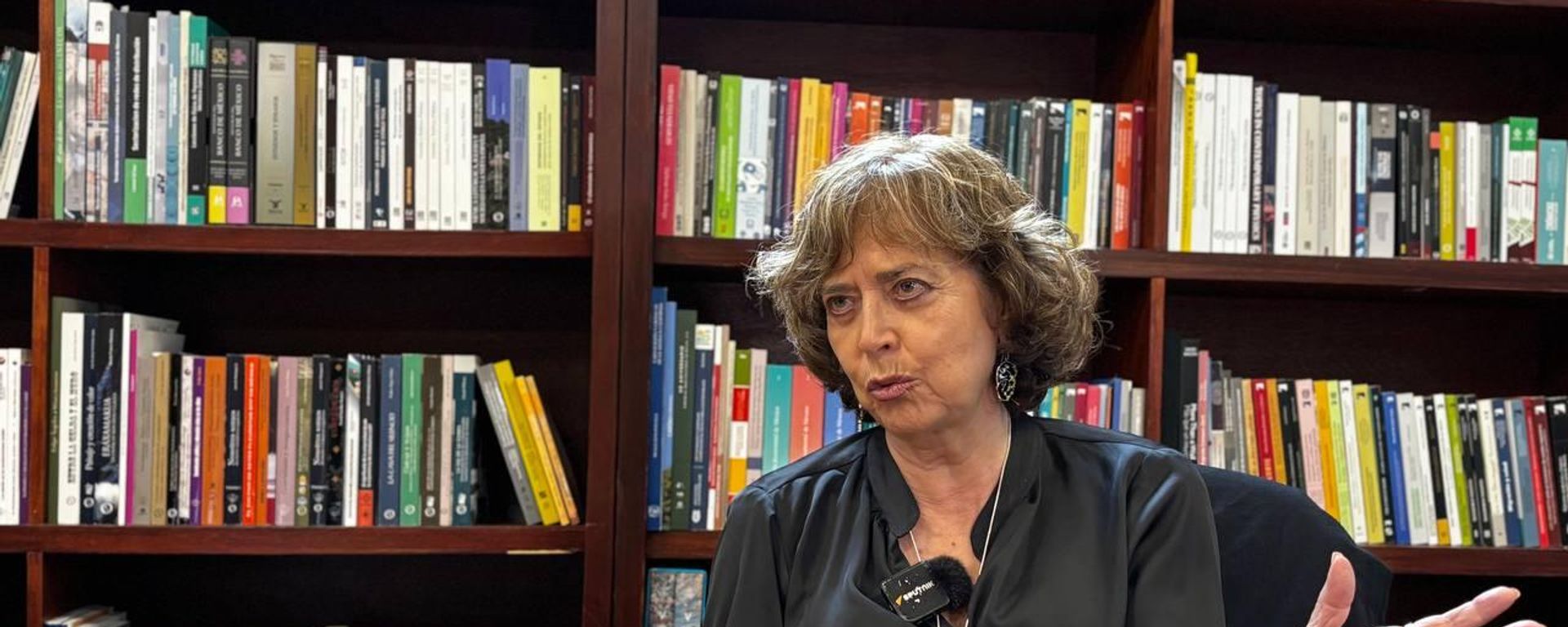 Rosaura Ruiz, titular de la Secretaría de Ciencia, Humanidades, Tecnología e Innovación del Gobierno de México - Sputnik Mundo, 1920, 17.07.2026