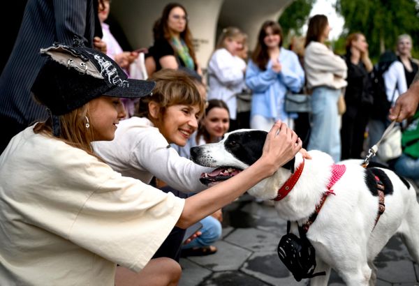 La organización trabajó cerca de dos años para hacer realidad este proyecto. Durante ese tiempo se definió su misión principal: apoyar a los creadores de películas sobre animales, unir a cineastas y defensores de los derechos de los animales y fomentar entre los jóvenes una cultura de respeto y responsabilidad hacia las mascotas y la fauna silvestre. - Sputnik Mundo