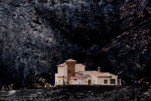 Vista de una zona calcinada afectada por los incendios forestales en la localidad de Bédar en España. - Sputnik Mundo