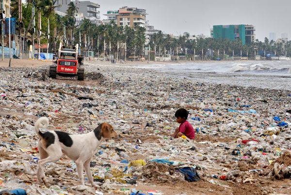 Un niño busca materiales reciclables entre los residuos plásticos y de otro tipo que la marea alta ha arrastrado hasta la orilla de la playa de Juhu, en la costa del mar Arábigo, en la India. - Sputnik Mundo