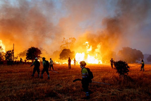 Vecinos y bomberos trabajan para extinguir un incendio forestal en avance cerca de Formariz, en la provincia de Zamora, España. - Sputnik Mundo