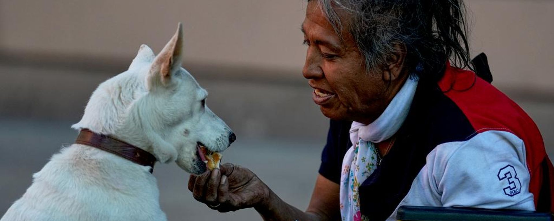 Mujer alimenta a su perro - Sputnik Mundo, 1920, 03.08.2026