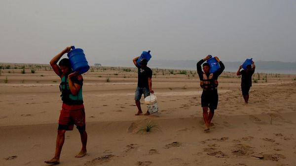 Consecuencias del fenómeno El Niño - Sputnik Mundo