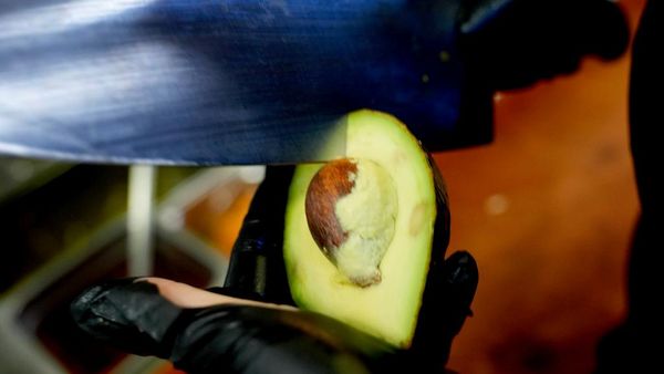 Aguacate. - Sputnik Mundo