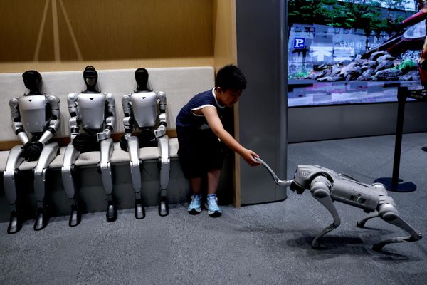 Un menor se sienta junto a los robots humanoides G1 de Unitree Robotics mientras interactúa con un robot GO2 de Unitree, en una tienda de la compañía en Pekín, China. - Sputnik Mundo