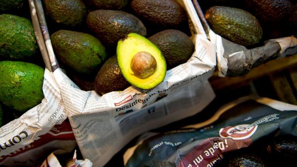 Aguacates en México. - Sputnik Mundo
