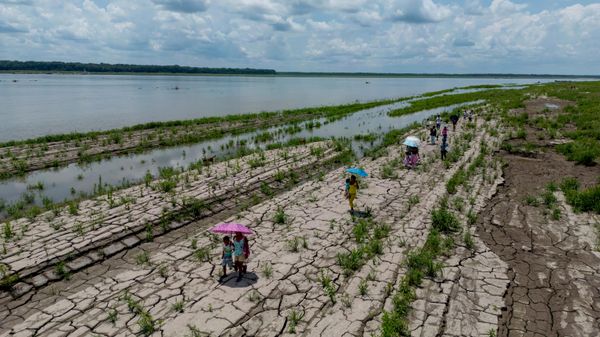 Unas personas caminan por un tramo del río Amazonas que muestra signos de sequía - Sputnik Mundo