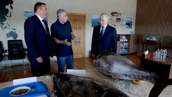 Putin visita el archipiélago de las islas Kuriles - Sputnik Mundo