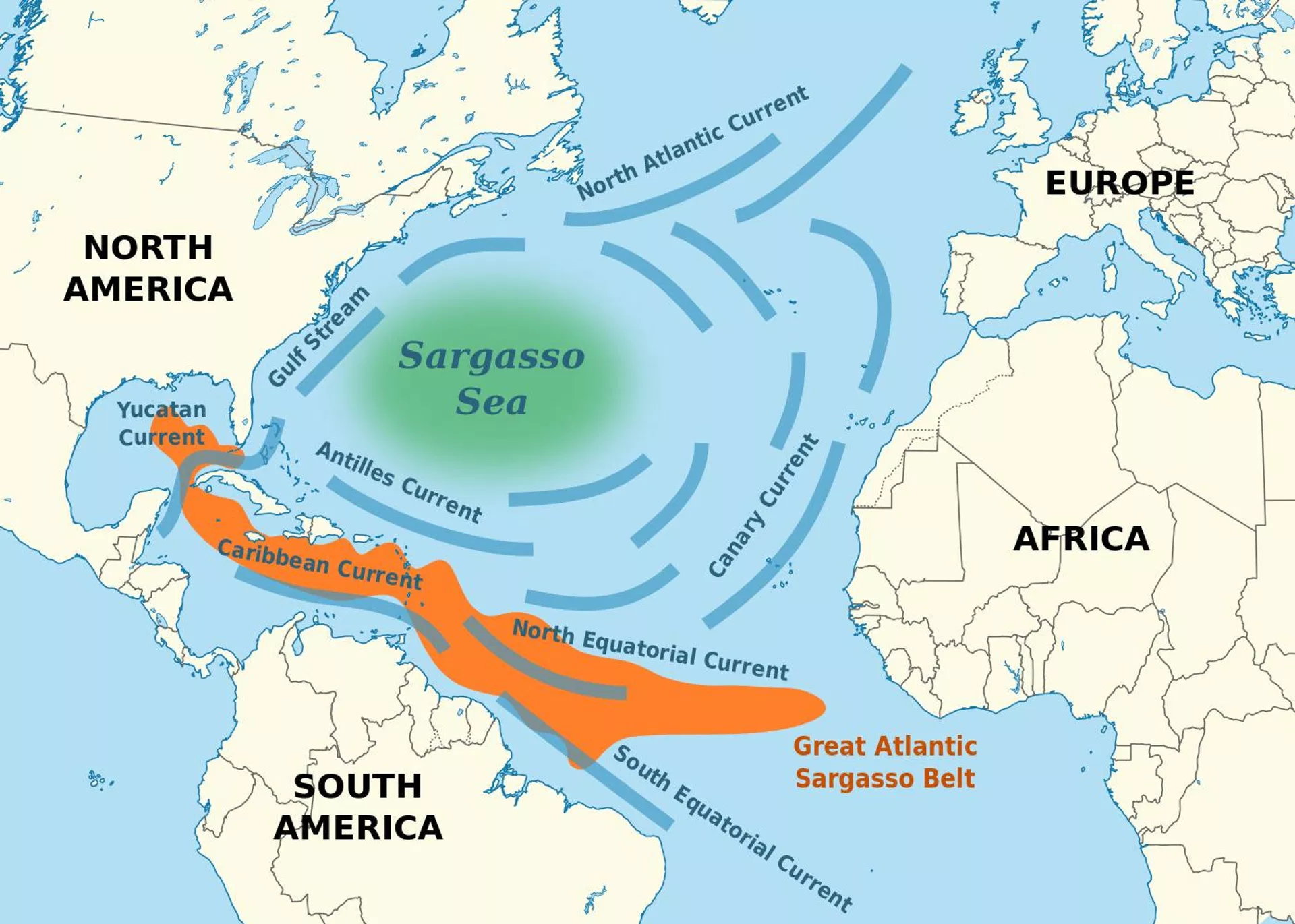 El Gran Cinturón de Sargazo del Atlántico - Sputnik Mundo, 1920, 14.08.2026