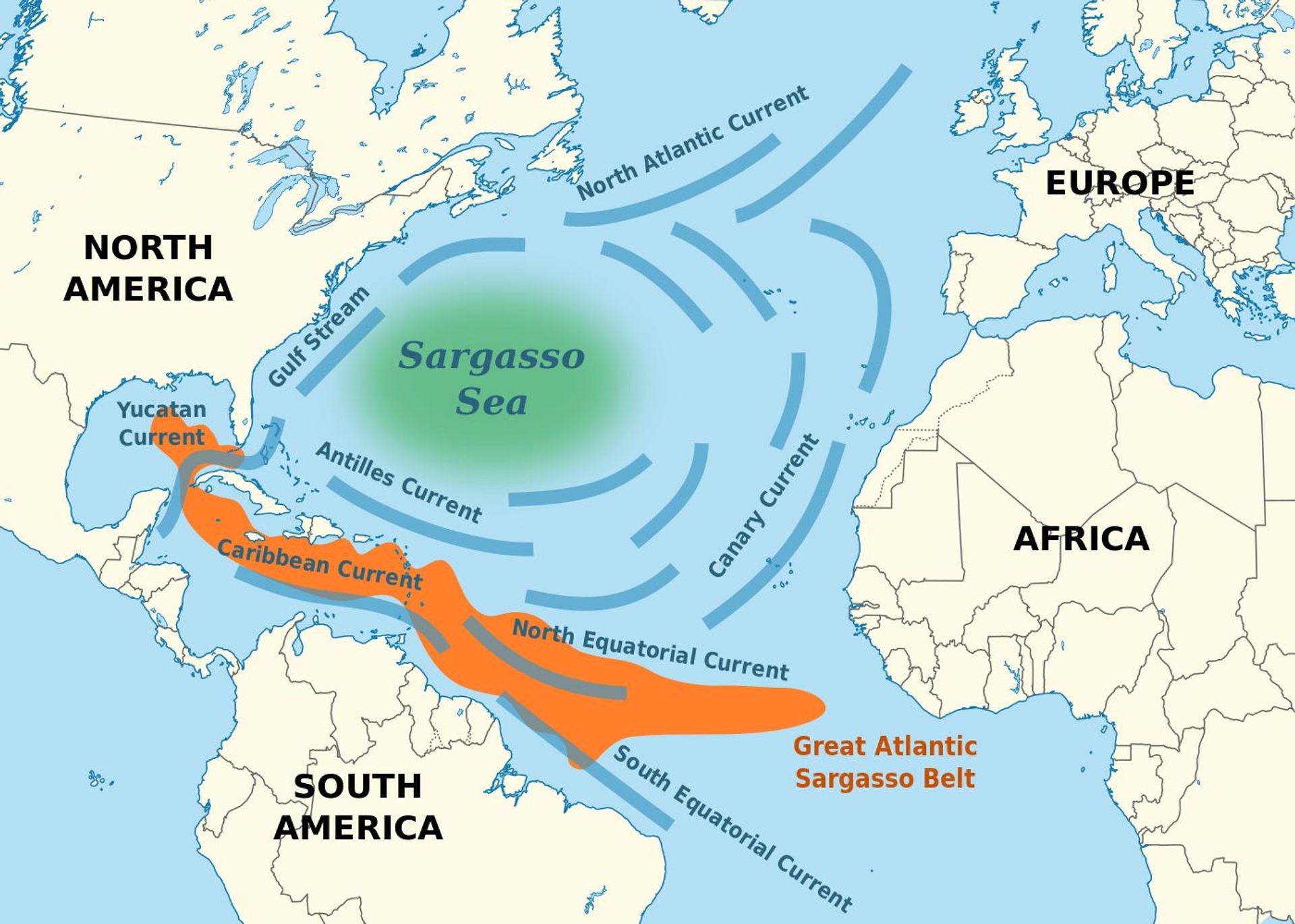 El Gran Cinturón de Sargazo del Atlántico - Sputnik Mundo, 1920, 14.08.2026