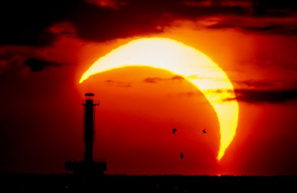 Vista del eclipse solar sobre el golfo de Finlandia en la ciudad de San Petersburgo de Rusia. - Sputnik Mundo