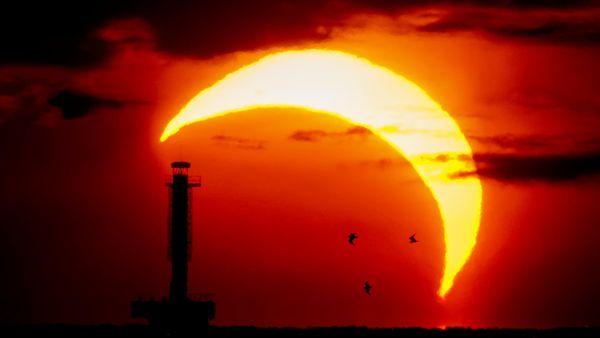 Вид на солнечное затмение над Финским заливом в Санкт-Петербурге  - Sputnik Mundo