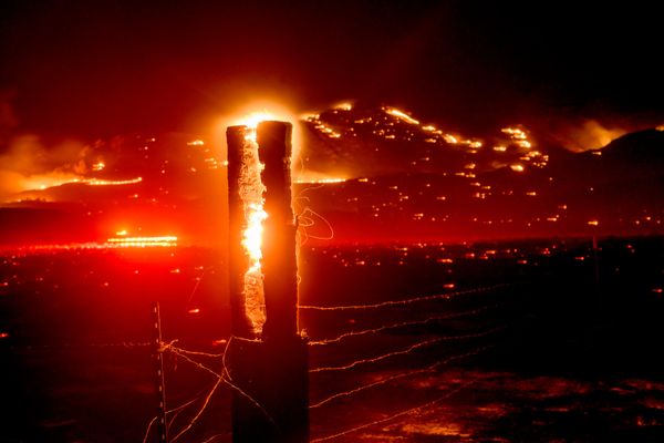En una fotografía de larga exposición, las llamas consumen un poste mientras el incendio Bug arde alrededor de la localidad de Doyle, California. - Sputnik Mundo