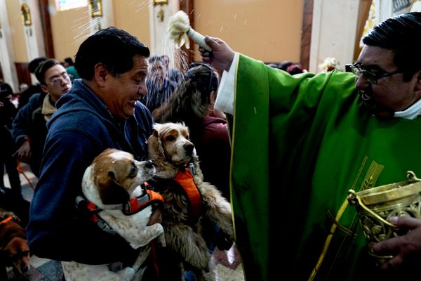 Un sacerdote boliviano bendice a los perros durante una misa en La Paz, con motivo de la festividad de San Roque, considerado también el santo patrón de estos animales. - Sputnik Mundo