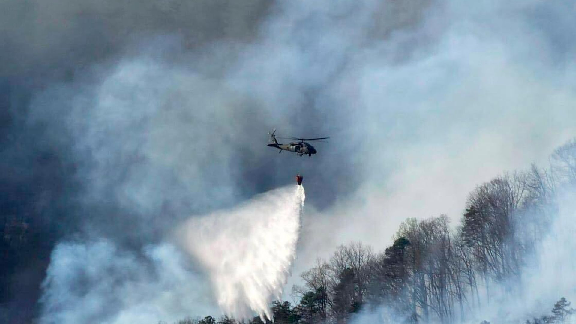 Incendio forestal en EEUU. Incendio forestal en EEUU. - Sputnik Mundo, 1920, 24.08.2026