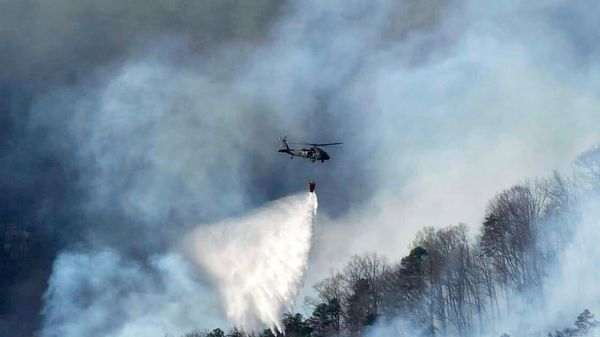 Incendio forestal en EEUU. - Sputnik Mundo